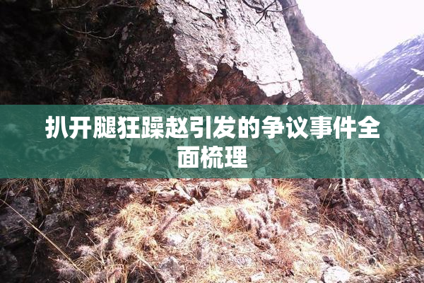 扒开腿狂躁赵引发的争议事件全面梳理