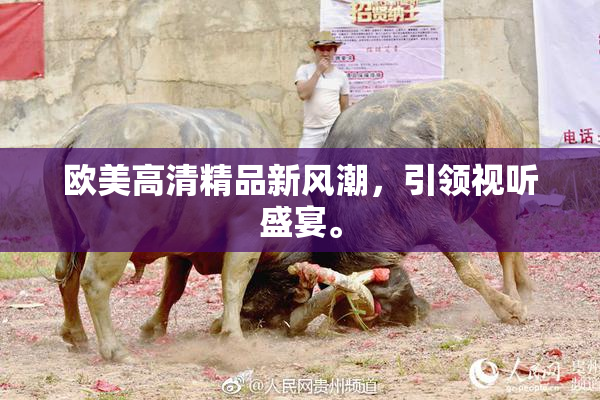 欧美高清精品新风潮，引领视听盛宴。