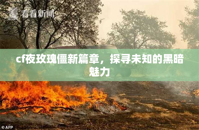 cf夜玫瑰僵新篇章，探寻未知的黑暗魅力