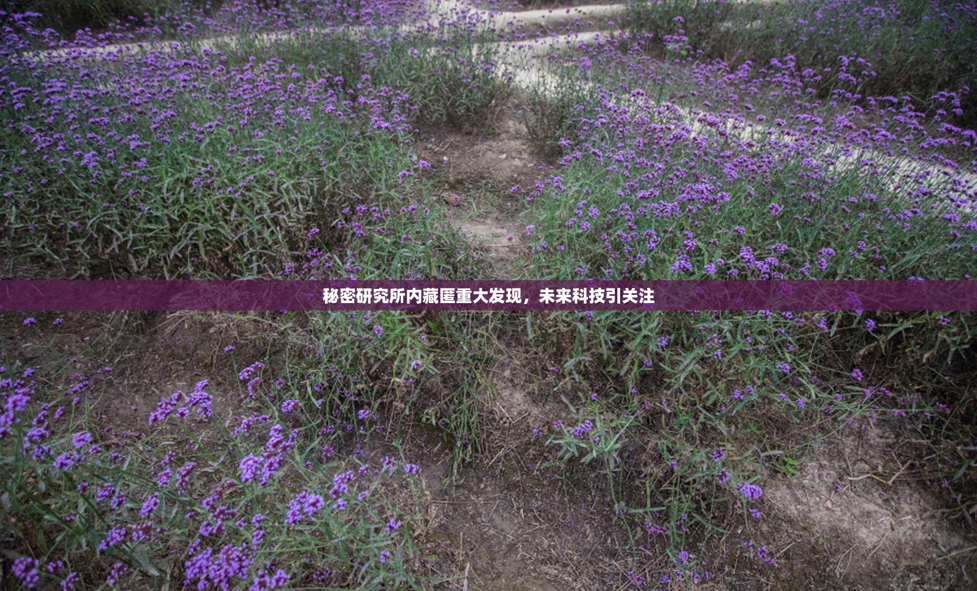 秘密研究所内藏匿重大发现，未来科技引关注