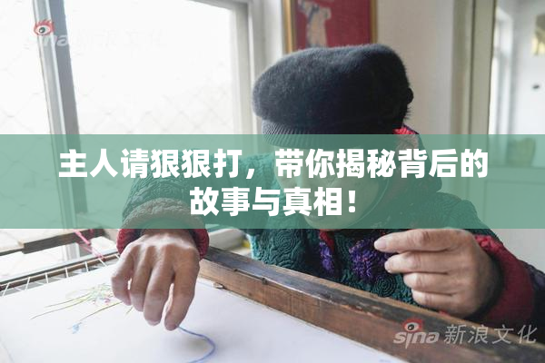 主人请狠狠打，带你揭秘背后的故事与真相！