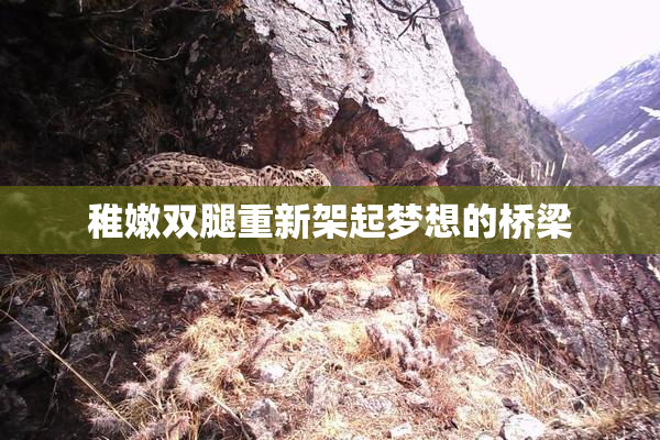 稚嫩双腿重新架起梦想的桥梁