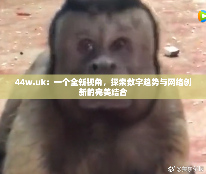 44w.uk：一个全新视角，探索数字趋势与网络创新的完美结合