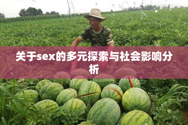 关于sex的多元探索与社会影响分析