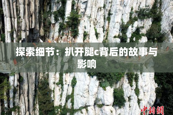 探索细节：扒开腿c背后的故事与影响