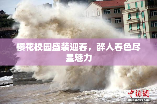 樱花校园盛装迎春，醉人春色尽显魅力