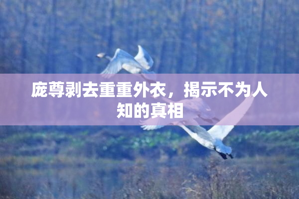 庞尊剥去重重外衣，揭示不为人知的真相