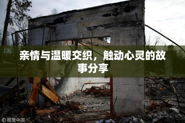亲情与温暖交织，触动心灵的故事分享
