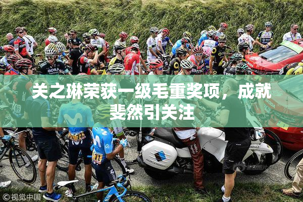 关之琳荣获一级毛重奖项，成就斐然引关注