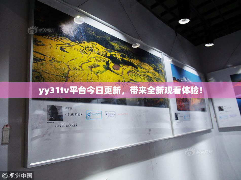 yy31tv平台今日更新，带来全新观看体验！