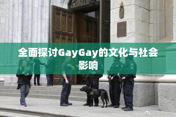 全面探讨GayGay的文化与社会影响