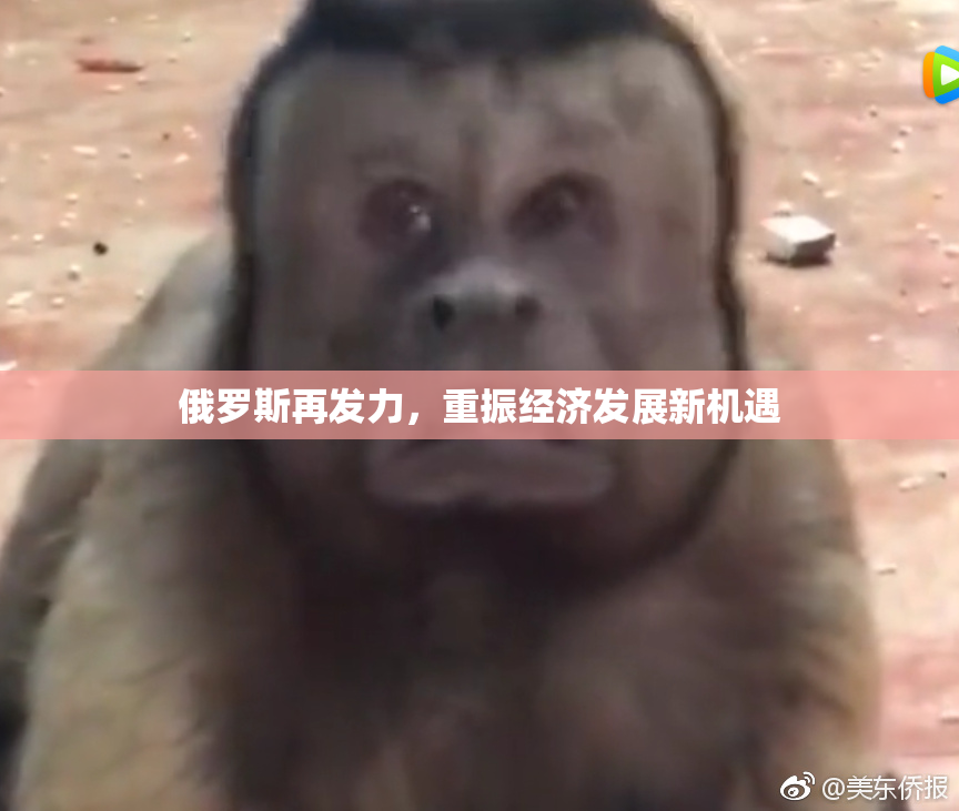 俄罗斯再发力，重振经济发展新机遇