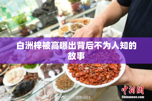 白洲梓被高曝出背后不为人知的故事
