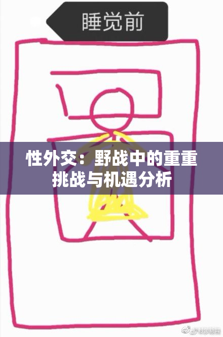 性外交：野战中的重重挑战与机遇分析