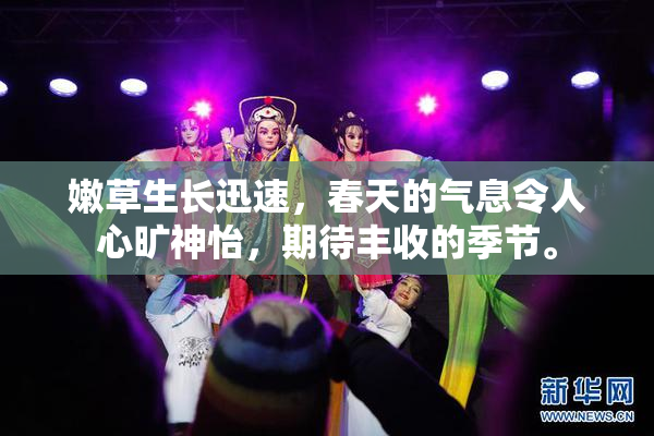 嫩草生长迅速，春天的气息令人心旷神怡，期待丰收的季节。