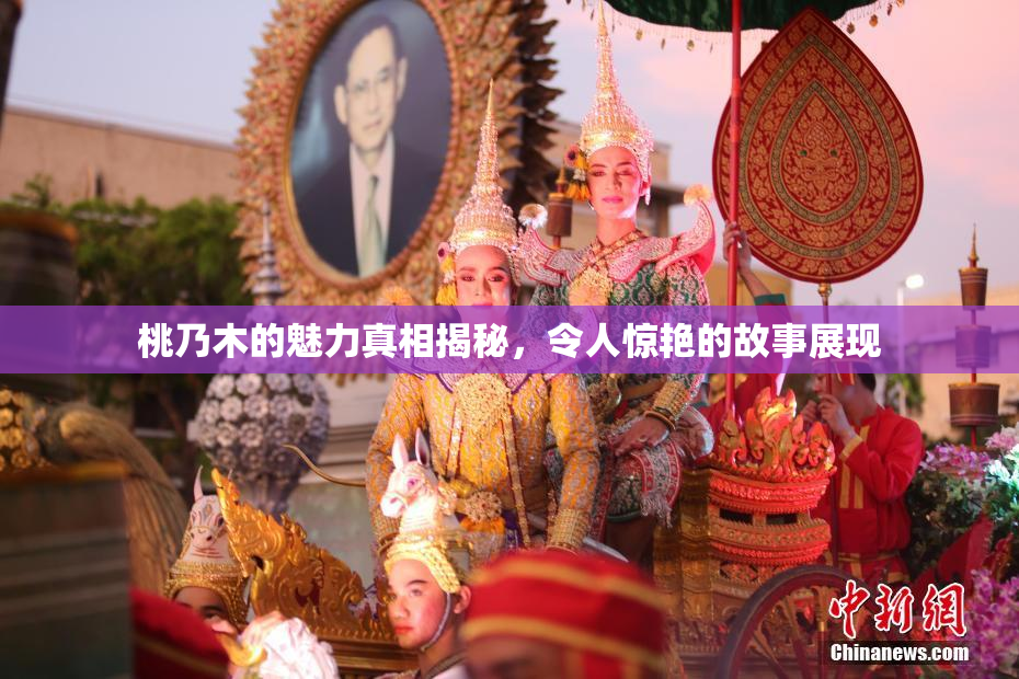 桃乃木的魅力真相揭秘，令人惊艳的故事展现