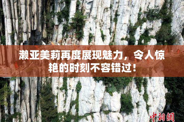 濑亚美莉再度展现魅力，令人惊艳的时刻不容错过！