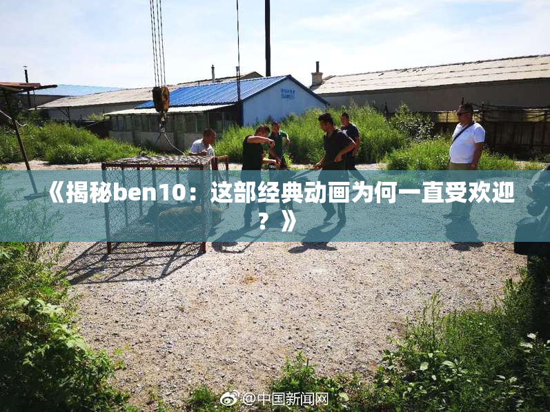 《揭秘ben10：这部经典动画为何一直受欢迎？》