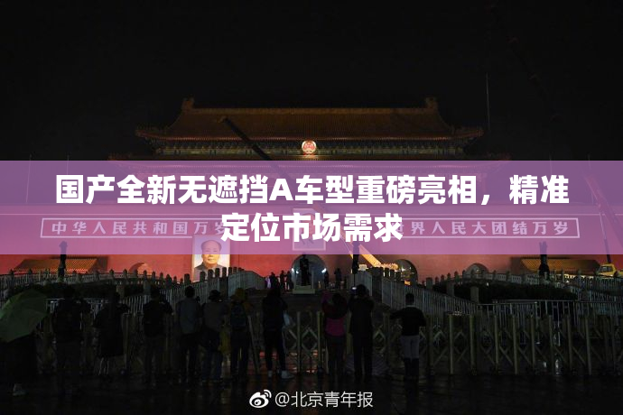 国产全新无遮挡A车型重磅亮相，精准定位市场需求