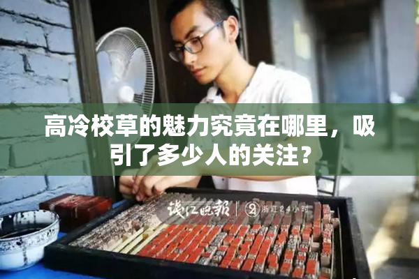 高冷校草的魅力究竟在哪里，吸引了多少人的关注？