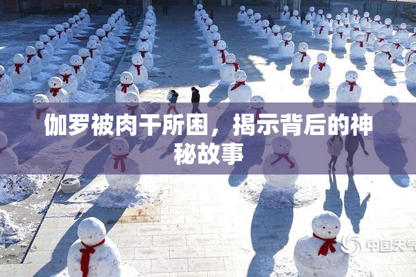 伽罗被肉干所困，揭示背后的神秘故事