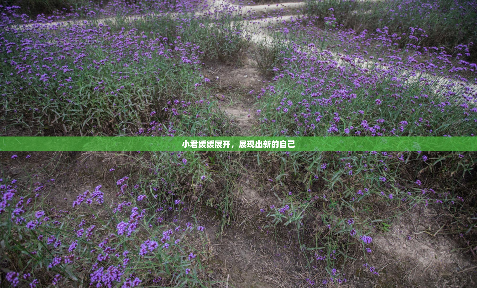 小君缓缓展开，展现出新的自己