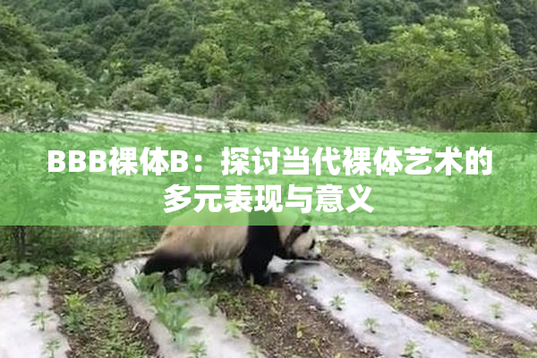BBB裸体B：探讨当代裸体艺术的多元表现与意义
