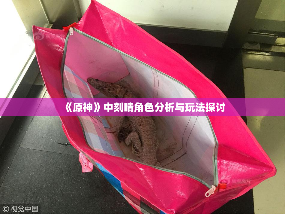 《原神》中刻晴角色分析与玩法探讨