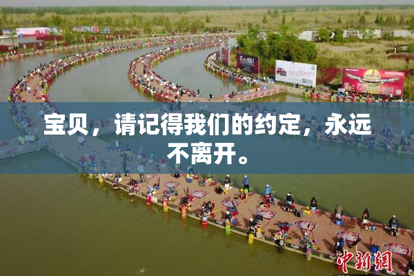 宝贝，请记得我们的约定，永远不离开。