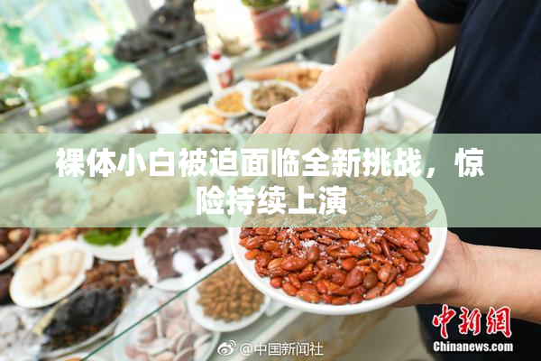 裸体小白被迫面临全新挑战，惊险持续上演