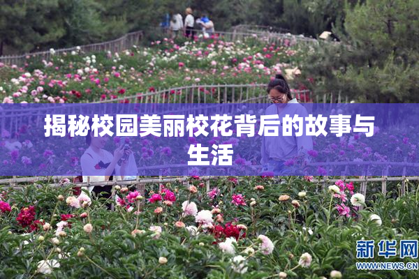 揭秘校园美丽校花背后的故事与生活