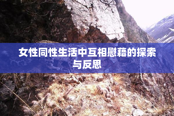 女性同性生活中互相慰藉的探索与反思