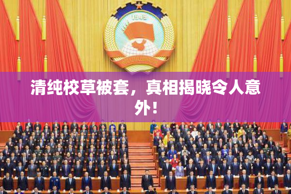 清纯校草被套，真相揭晓令人意外！