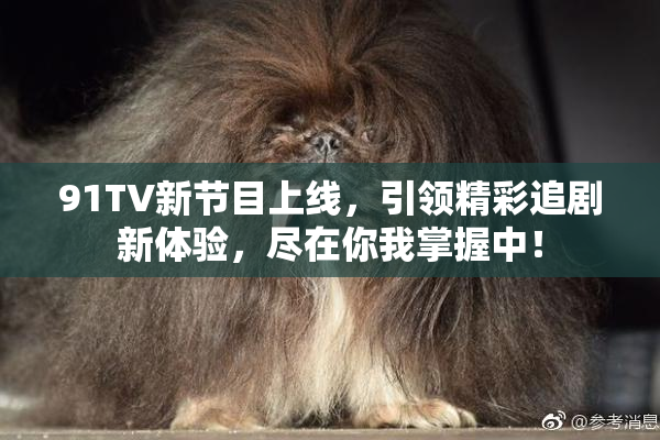 91TV新节目上线，引领精彩追剧新体验，尽在你我掌握中！