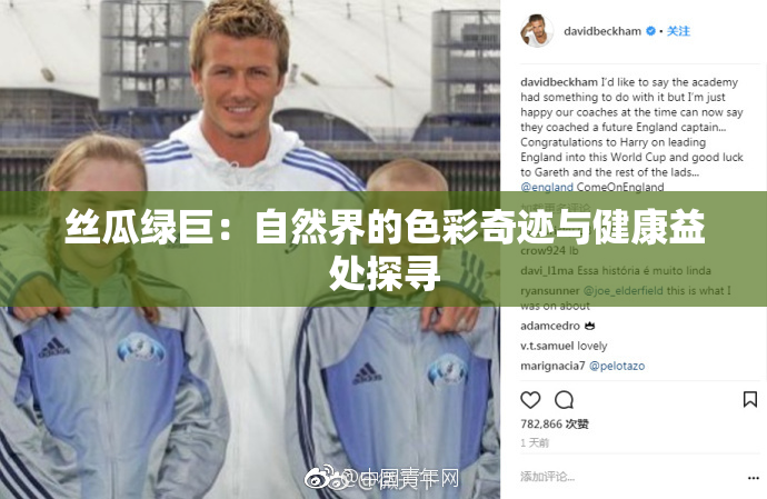 丝瓜绿巨：自然界的色彩奇迹与健康益处探寻