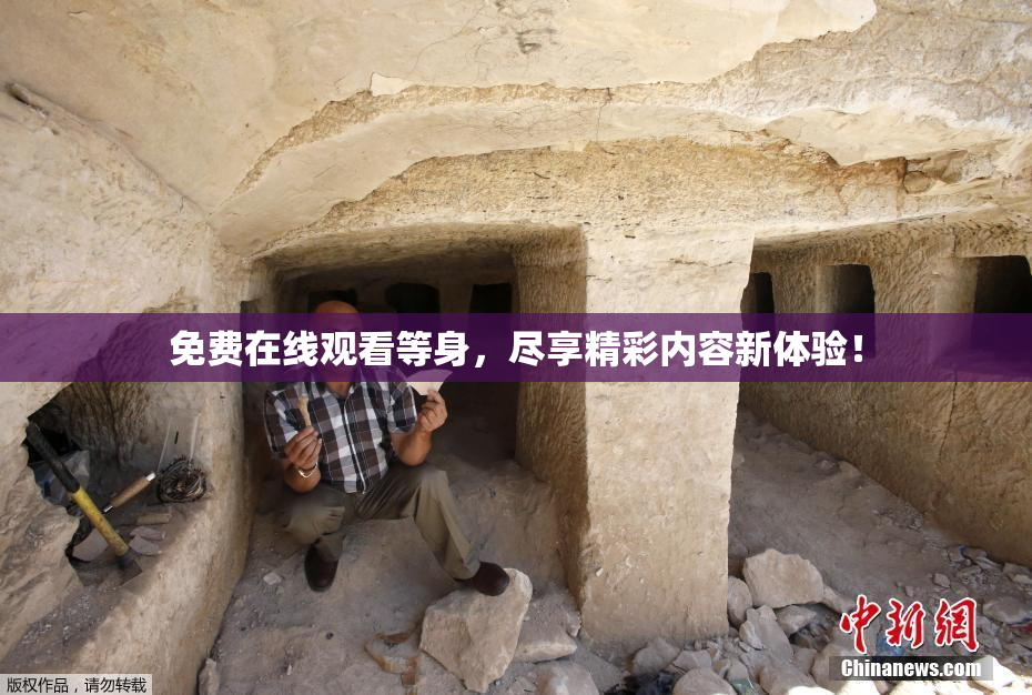 免费在线观看等身，尽享精彩内容新体验！