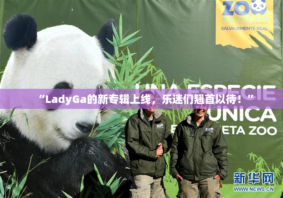 “LadyGa的新专辑上线，乐迷们翘首以待！”