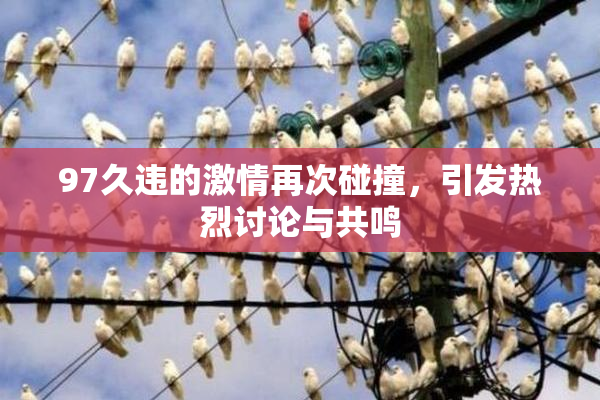 97久违的激情再次碰撞，引发热烈讨论与共鸣