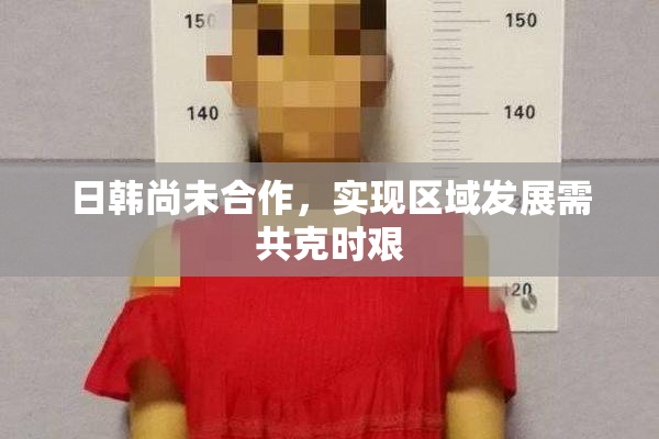 日韩尚未合作，实现区域发展需共克时艰
