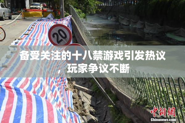 备受关注的十八禁游戏引发热议，玩家争议不断