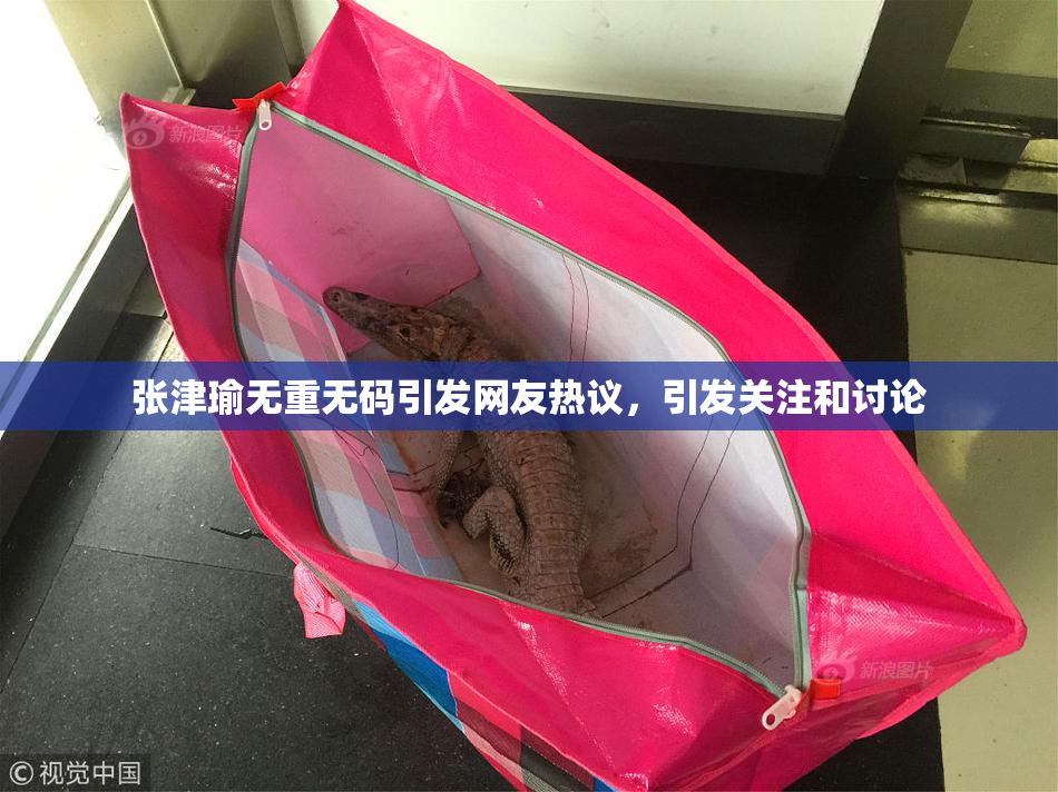 张津瑜无重无码引发网友热议，引发关注和讨论