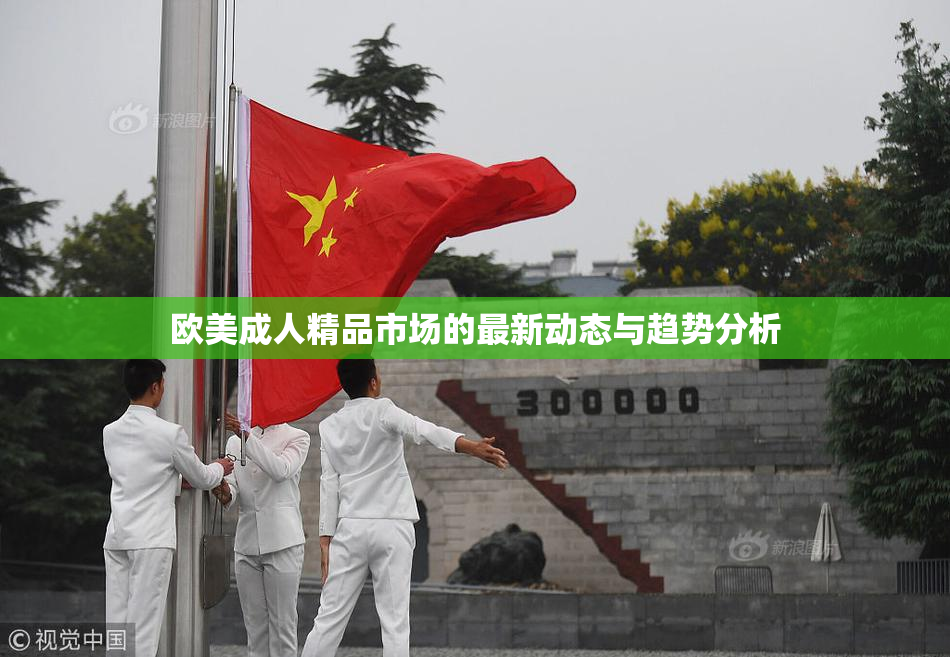 欧美成人精品市场的最新动态与趋势分析