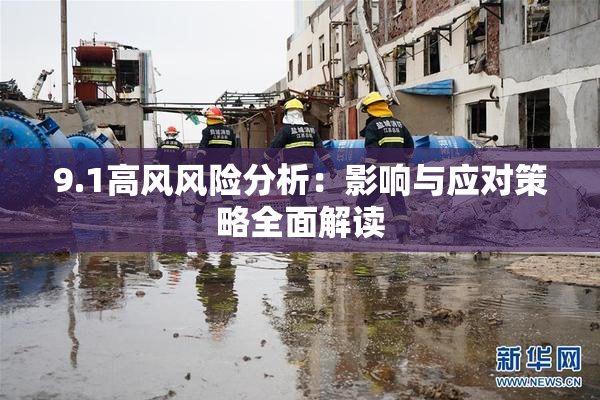 9.1高风风险分析：影响与应对策略全面解读