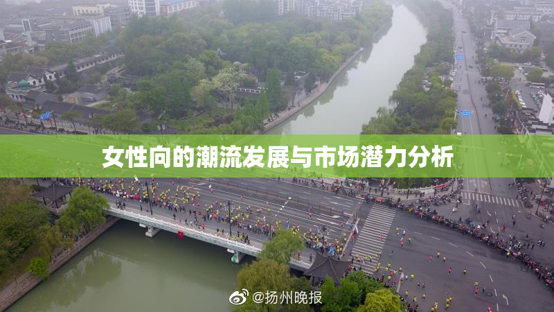 女性向的潮流发展与市场潜力分析
