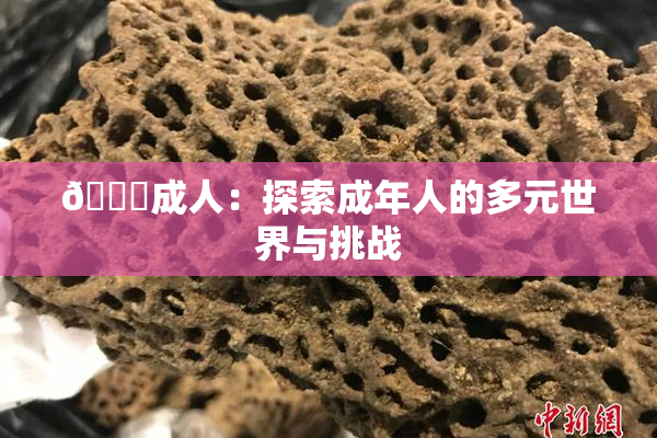 🔞成人：探索成年人的多元世界与挑战