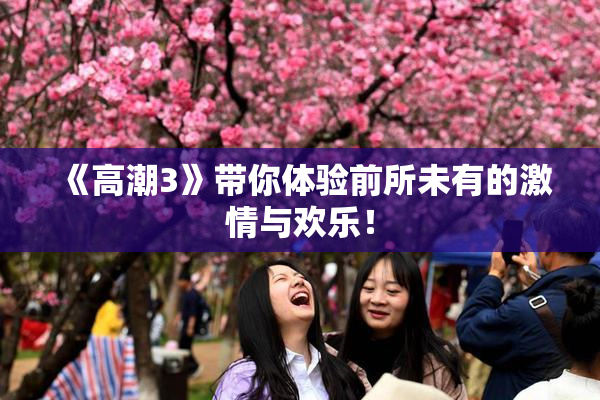 《高潮3》带你体验前所未有的激情与欢乐！
