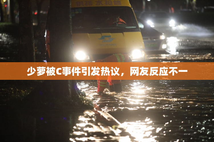 少萝被C事件引发热议，网友反应不一