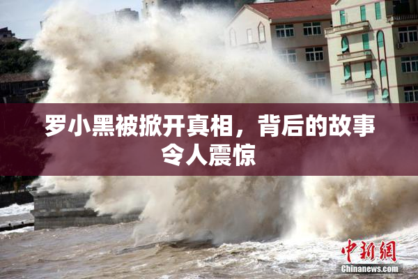 罗小黑被掀开真相，背后的故事令人震惊