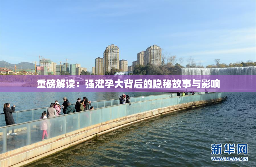 重磅解读：强灌孕大背后的隐秘故事与影响
