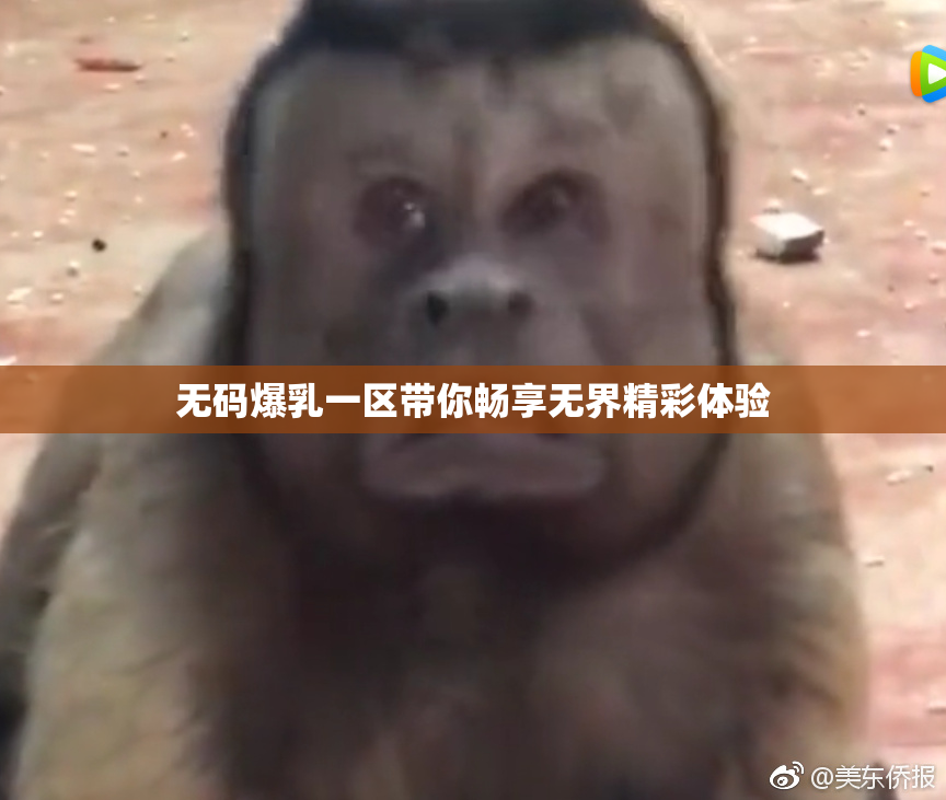 无码爆乳一区带你畅享无界精彩体验
